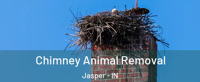 Chimney Animal Removal Jasper - IN