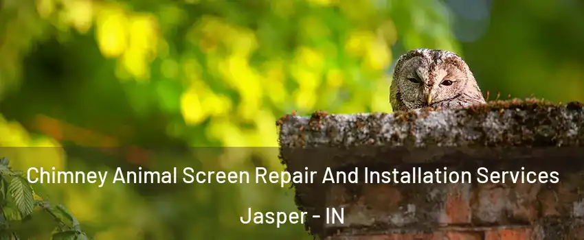  Chimney Animal Screen Repair And Installation Services Jasper - IN