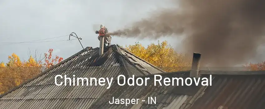  Chimney Odor Removal Jasper - IN