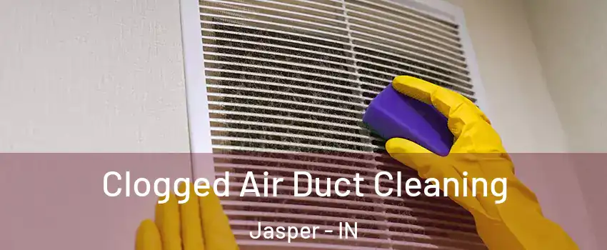  Clogged Air Duct Cleaning Jasper - IN