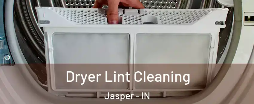  Dryer Lint Cleaning Jasper - IN