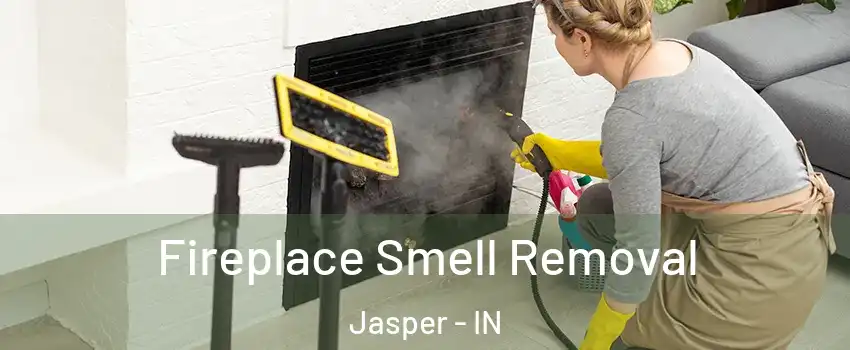  Fireplace Smell Removal Jasper - IN