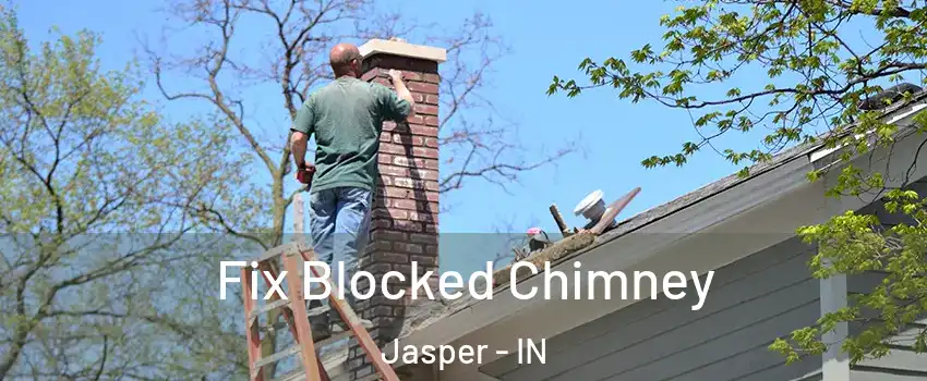  Fix Blocked Chimney Jasper - IN