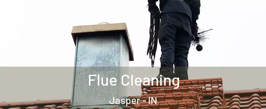  Flue Cleaning Jasper - IN