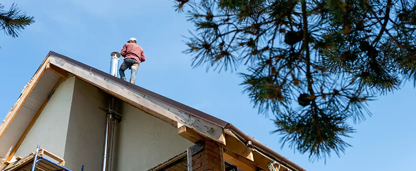 Birds Removal Contractors from Chimney in Jasper, IN